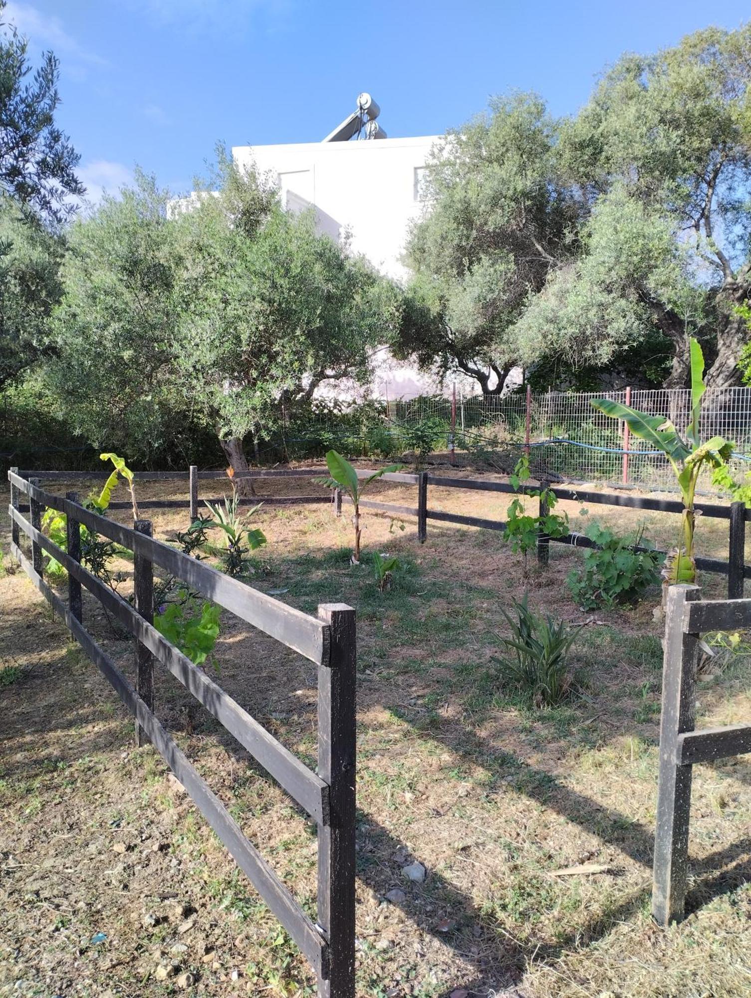 Olea Cottage Galatas  Экстерьер фото